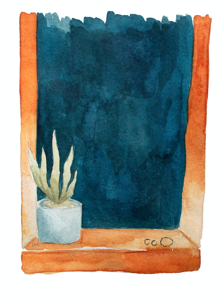Nighttime Window