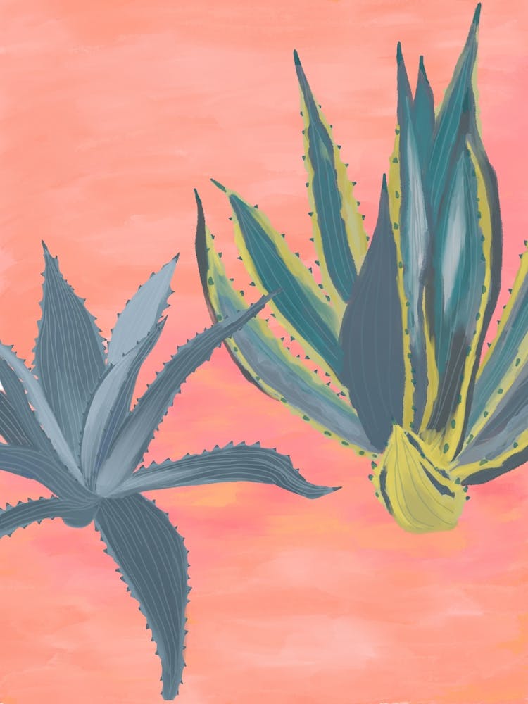 Coral Pink Cacti
