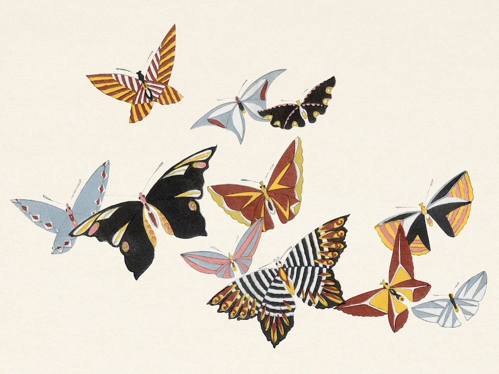 Birds From Momoyogusa –Flowers Of A Hundred Generations, Kamisaka Sekka (9)