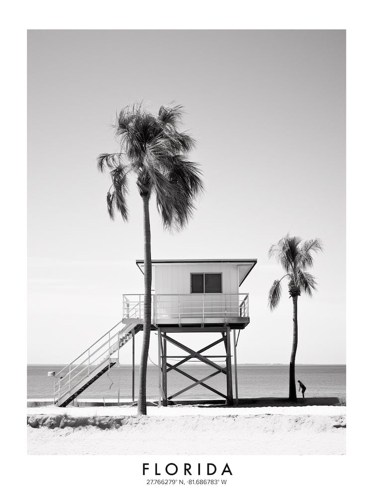 Poster Of Florida, Black And White Analogue Photograph 4
