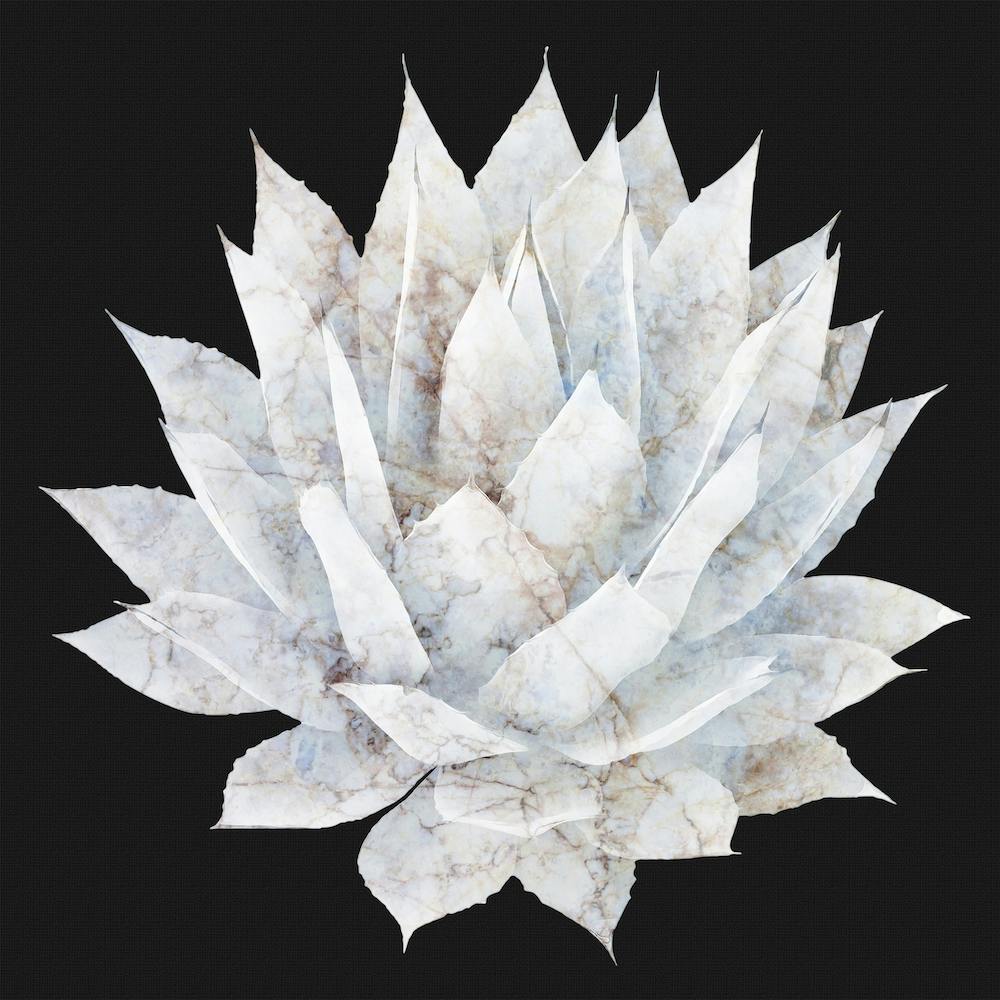 Agave White Marble