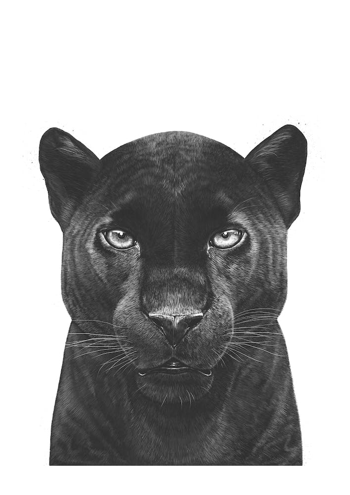 Black Panther