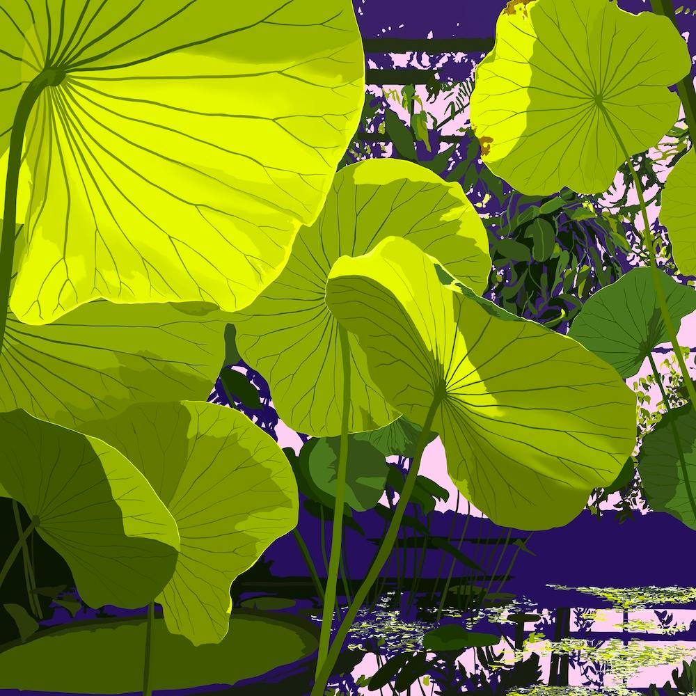 Sunlight Through Lotus Square