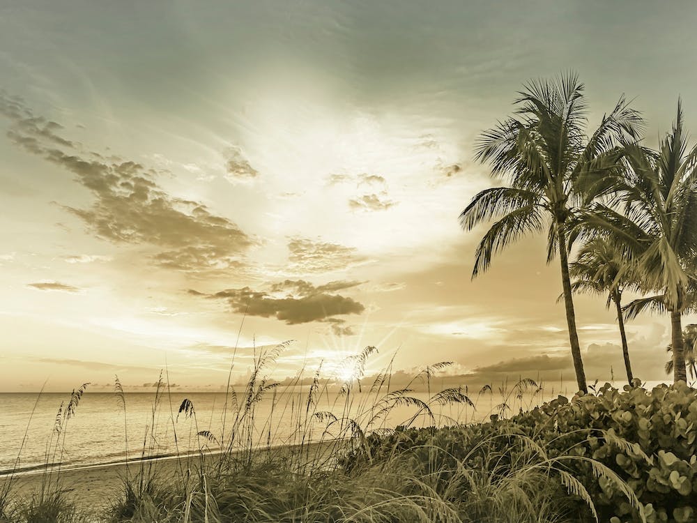 Vintage Bonita Beach Sunset