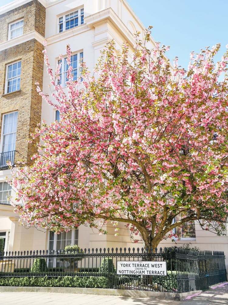 London Frühlingssonnenuntergang