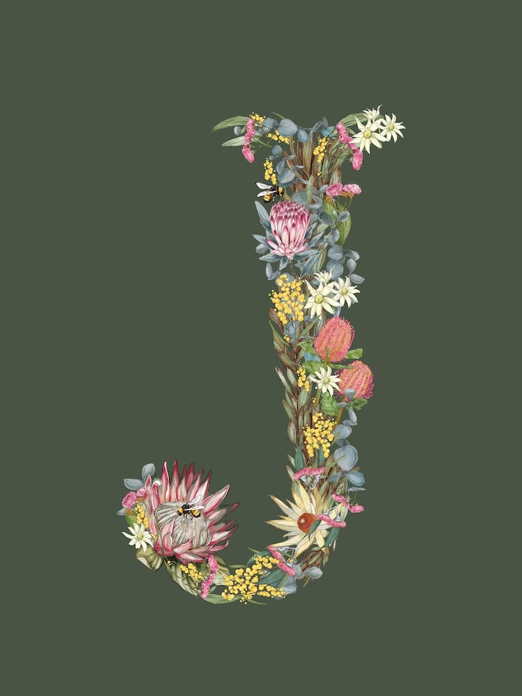 J Olive Alphabet Letter