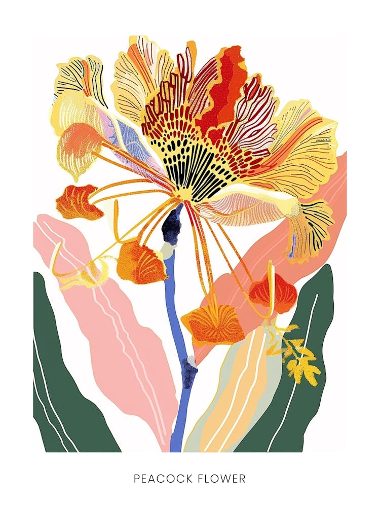 Colourful Flower Illustration Poster Peacock Flower 3