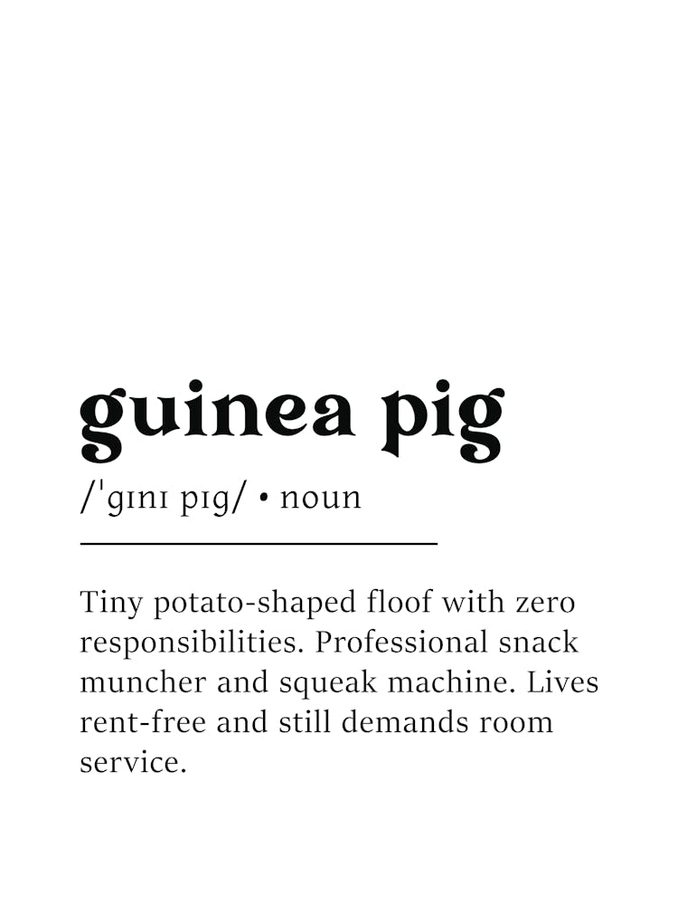 Guinea Pig Definition Poster - Dictionary