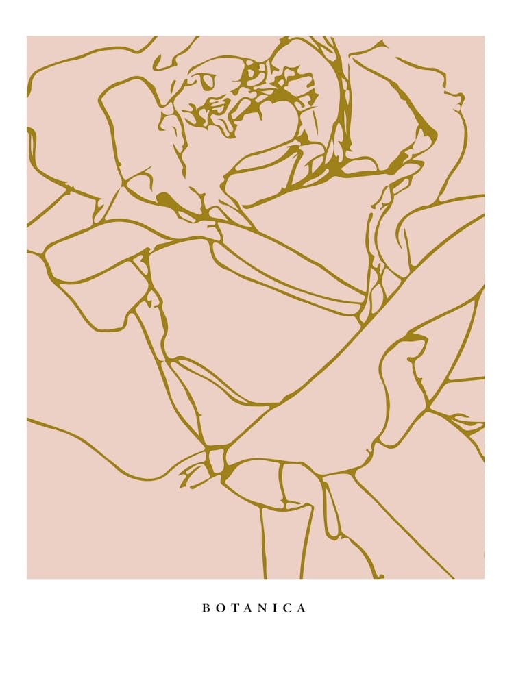 Botanica line no 51