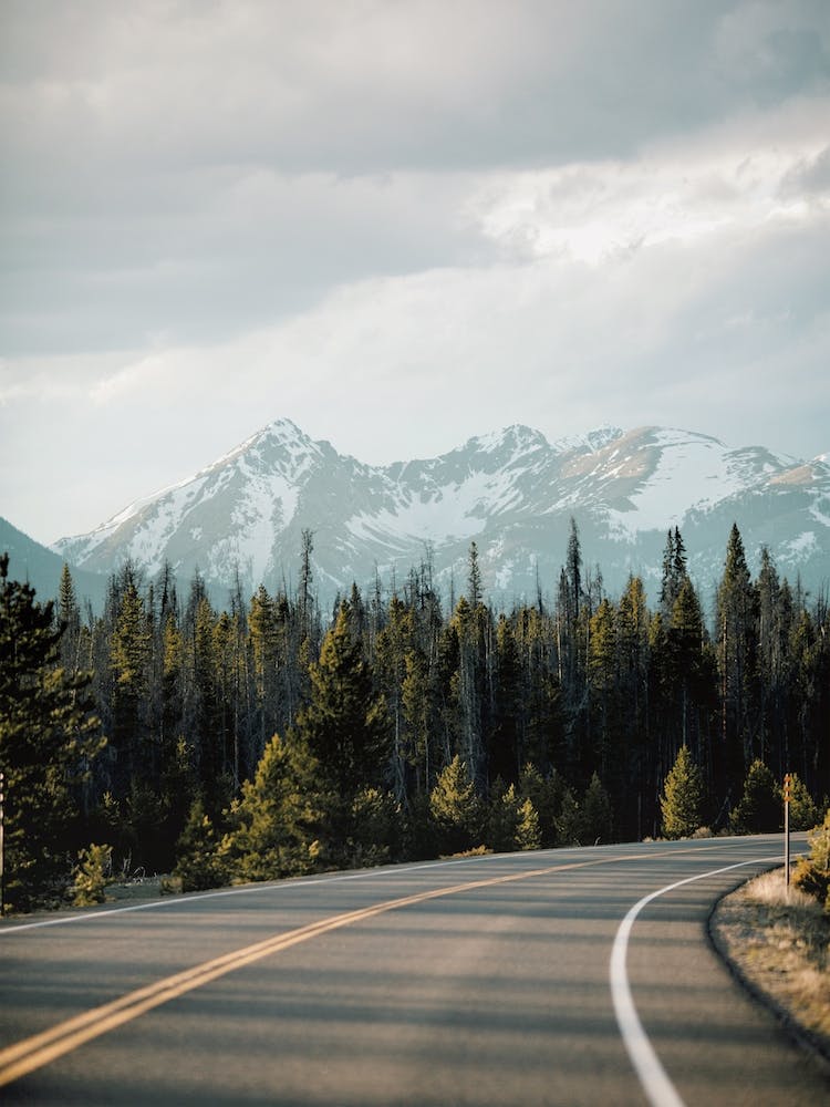 Montana Wilderness Highway
