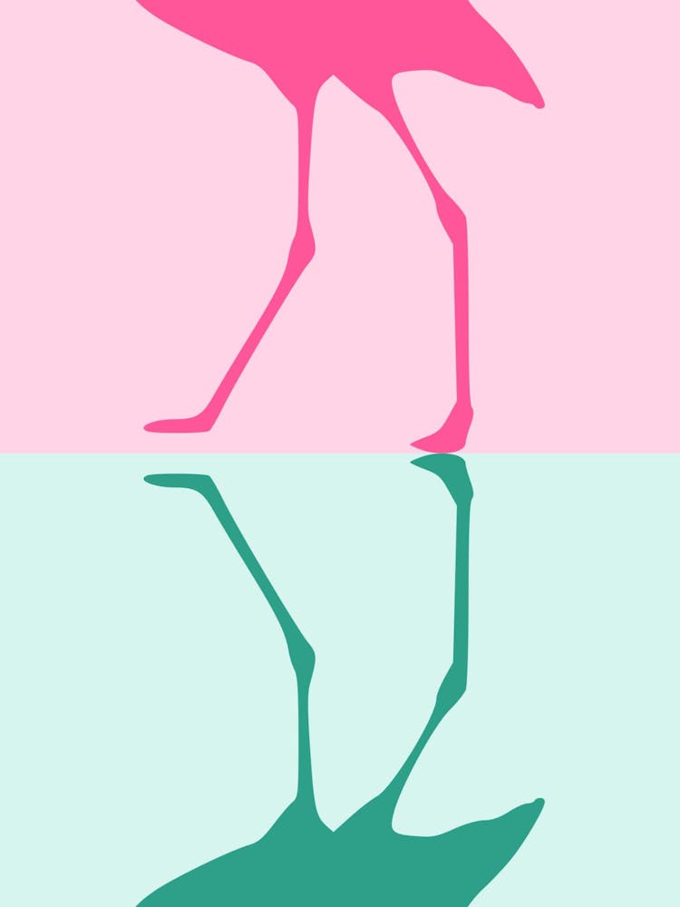 Flamingo 22
