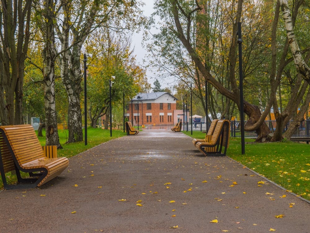 Park In Autumn