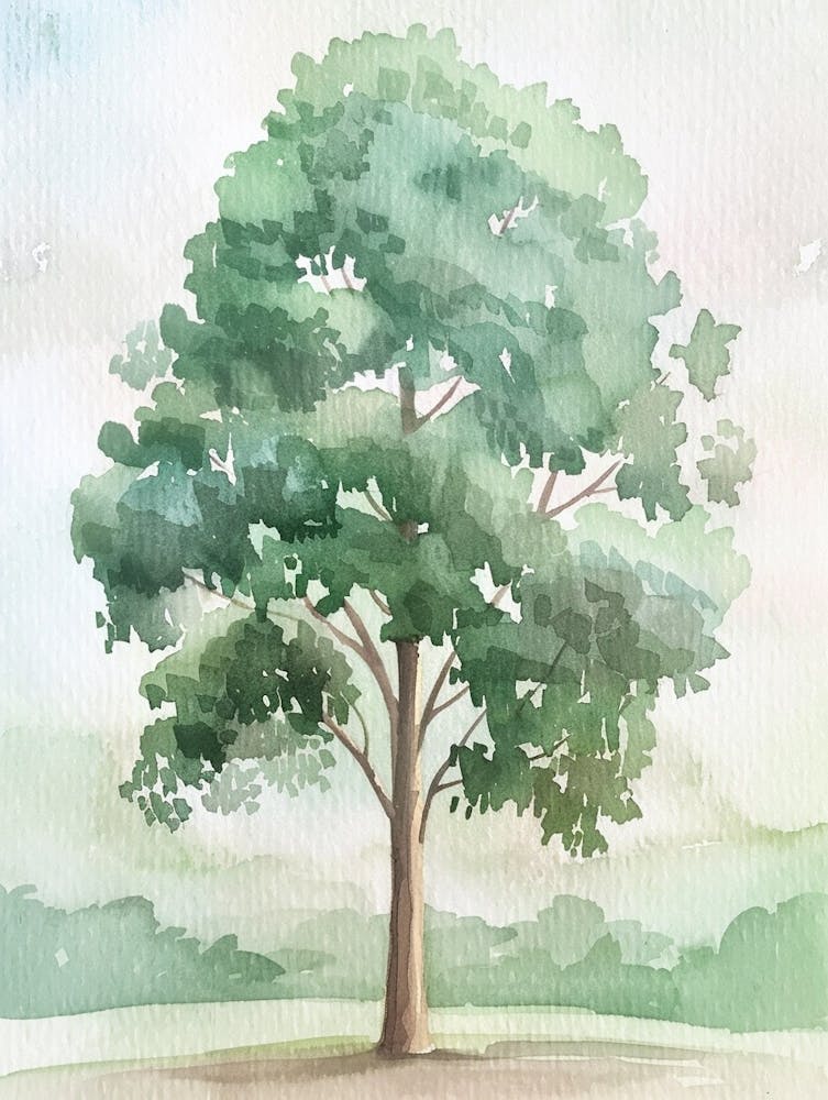 Eucalyptus Tree Atmospheric Watercolour Painting 3