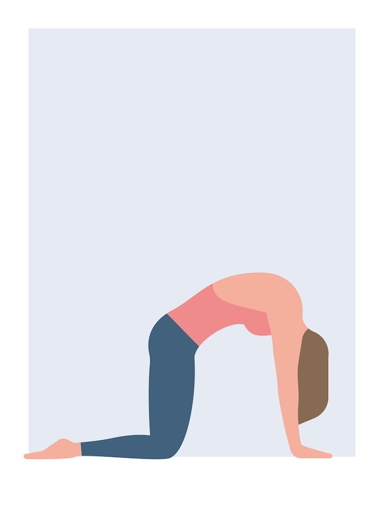 Cat cow yoga pose in Danish pastel colours