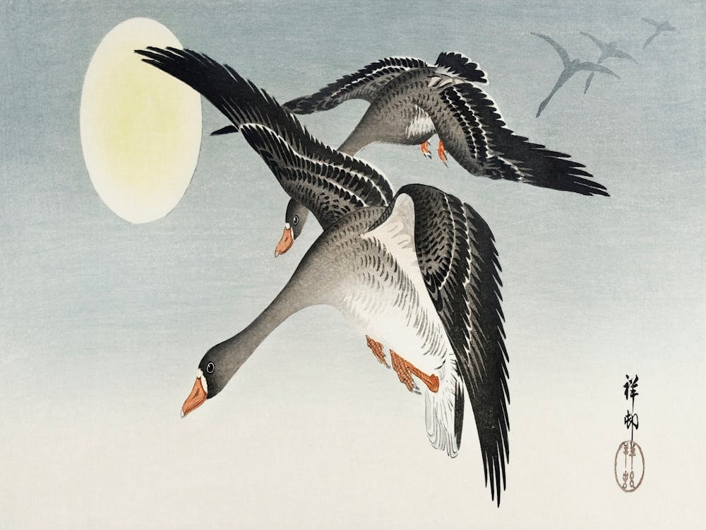 Birds At Full Moon (1900 1936), Ohara Koson