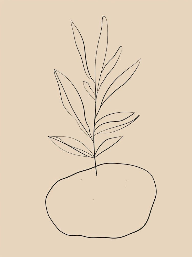 Glasgow Botanical Garden Boho Line Art