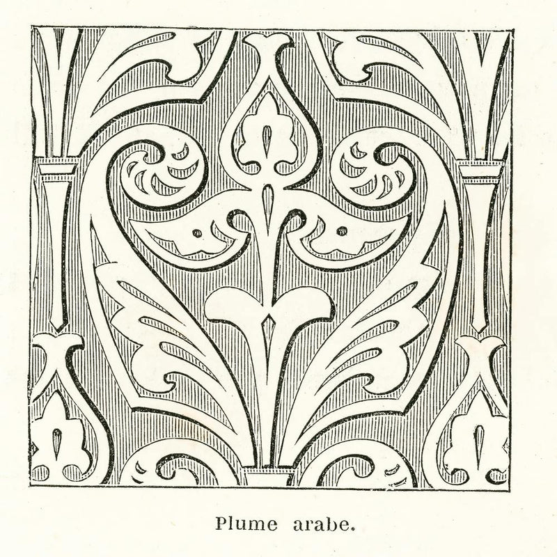 Arabic Feather Design, Albert Racine