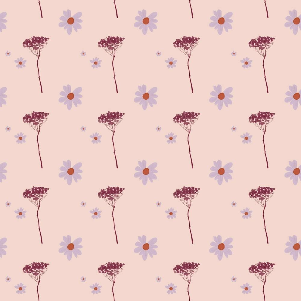 Daisy's and Yarrow Flowers