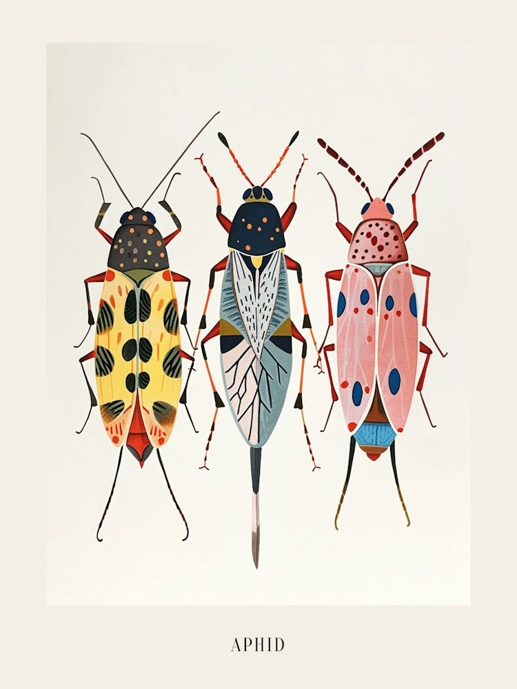 Colourful Insect Illustration Aphid 5 Poster