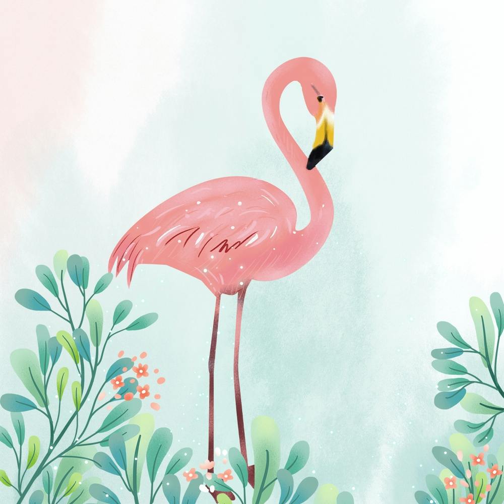Pink Flamingo 1