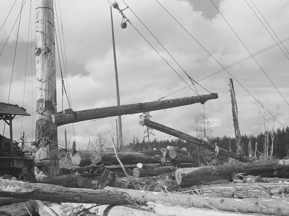 Long Bell Lumber Company, Cowlitz County, Washington, Yarding Logs By Russell Lee