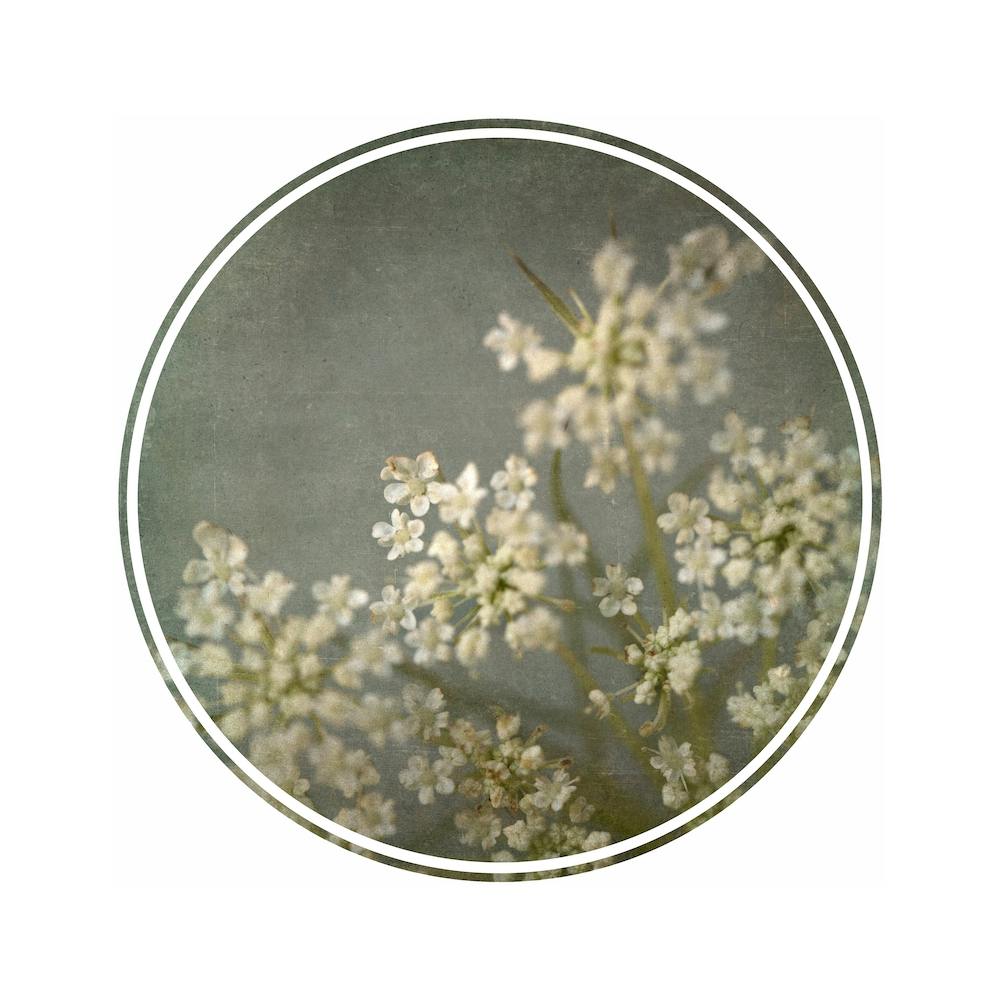 Foraged Texture Rounds 3