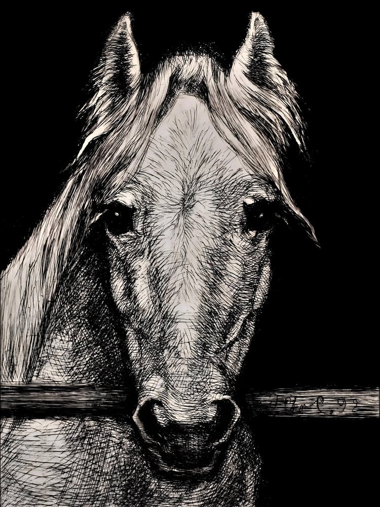 A Horse's Head by Hans Christian Gether Caspersen (1892)