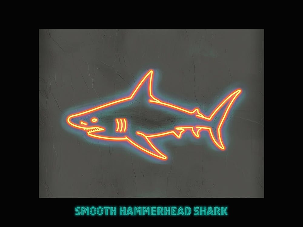 Orange Smooth Hammerhead Neon Shark 7 Poster