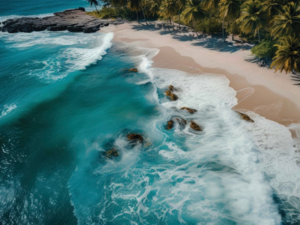 Aerial View Of A Tropical Beach 5