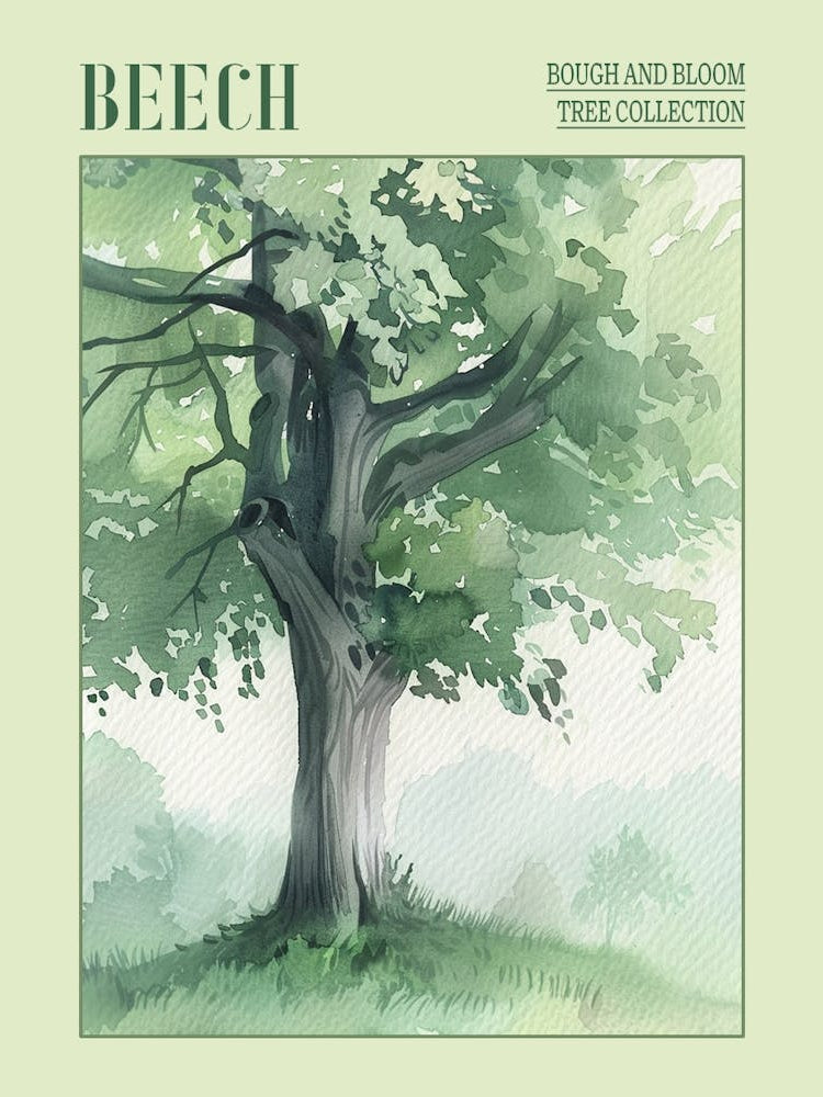Beech Tree Atmospheric Watercolour Painting 3 Poster