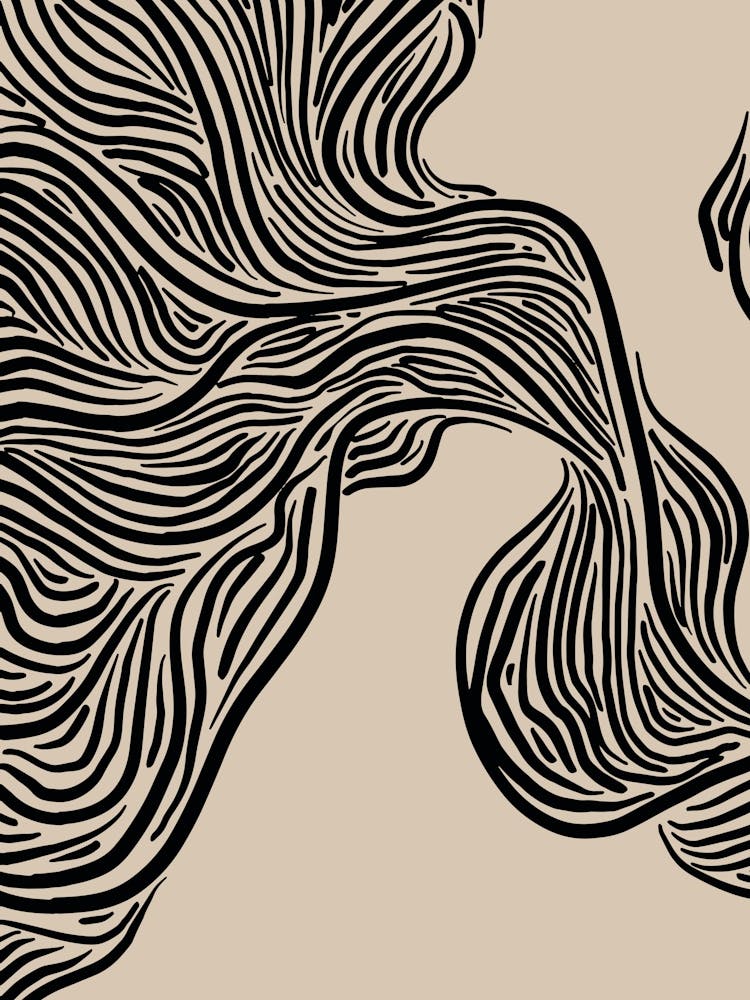 The Lines 04 A1