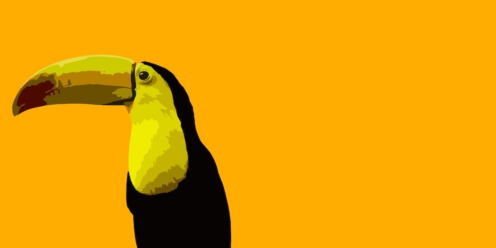 Toucan Yellow