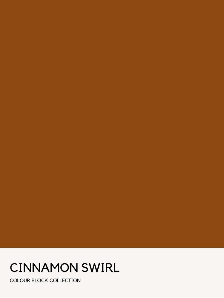 Cinnamon Swirl Colour Block Poster
