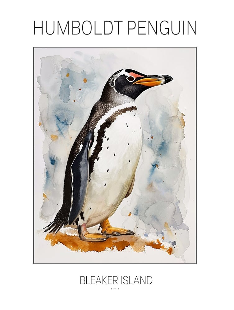 Humboldt Penguin Bleaker Island Watercolour Painting 1 Poster