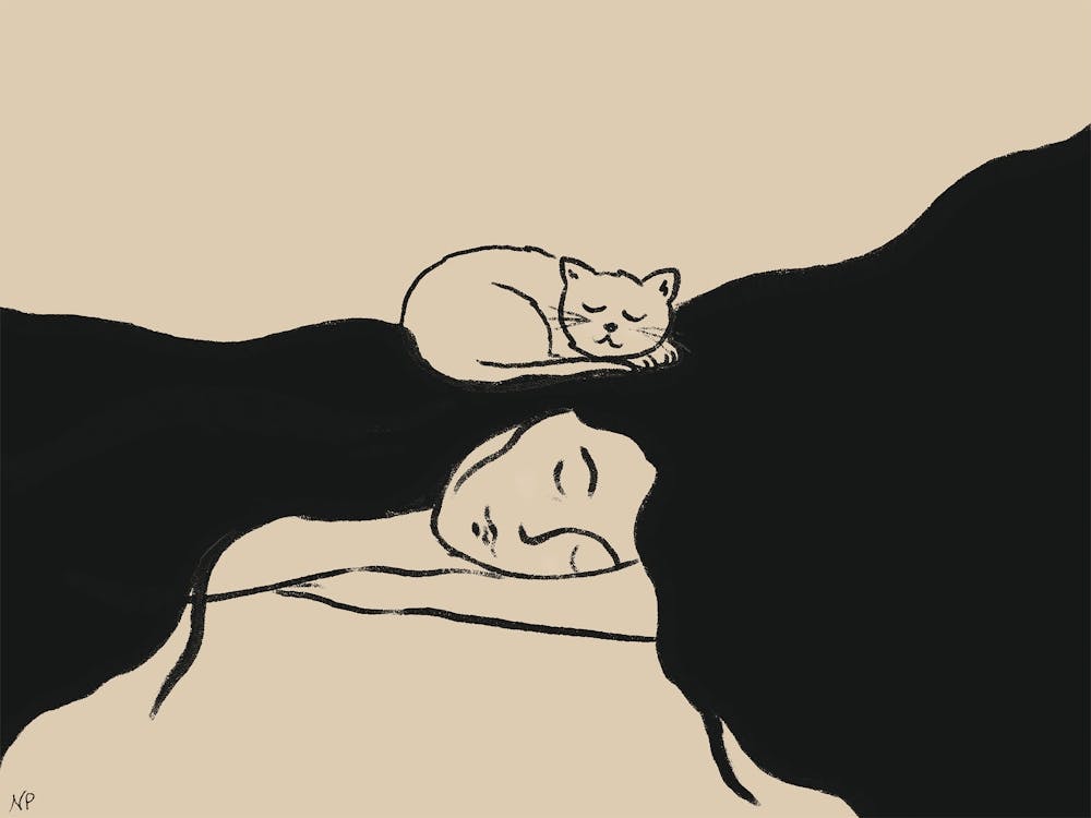 Cat Lady | Horizontal | Woman with cat sleeping | Bedroom Wall Art | Woman with cat art print | Cat Lover Gift | Minimalist Art