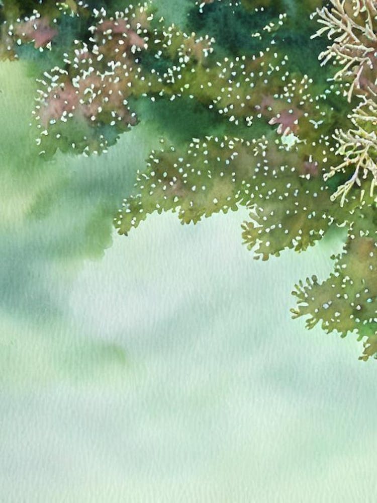 Acropora Digitifera Iii Storybook Watercolour