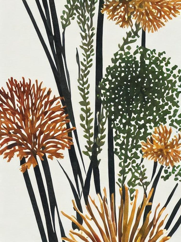 Acropora Cytherea Vintage Graphic Watercolour