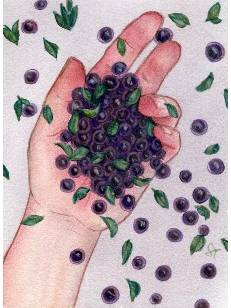 Blueberries In Hand