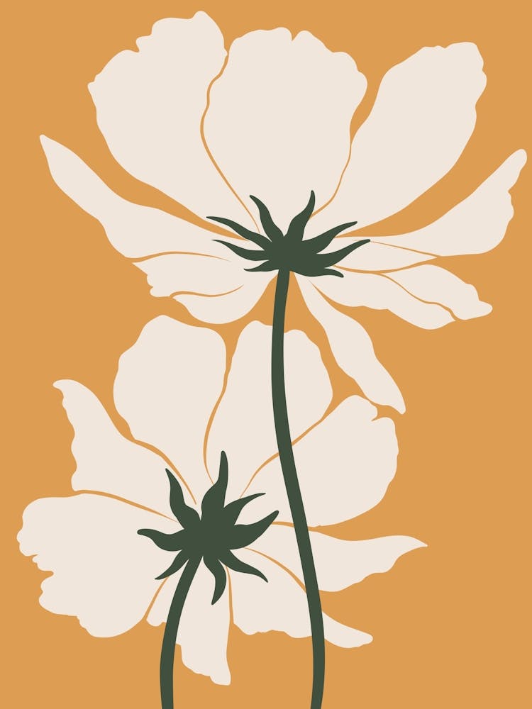 White Flowers 4