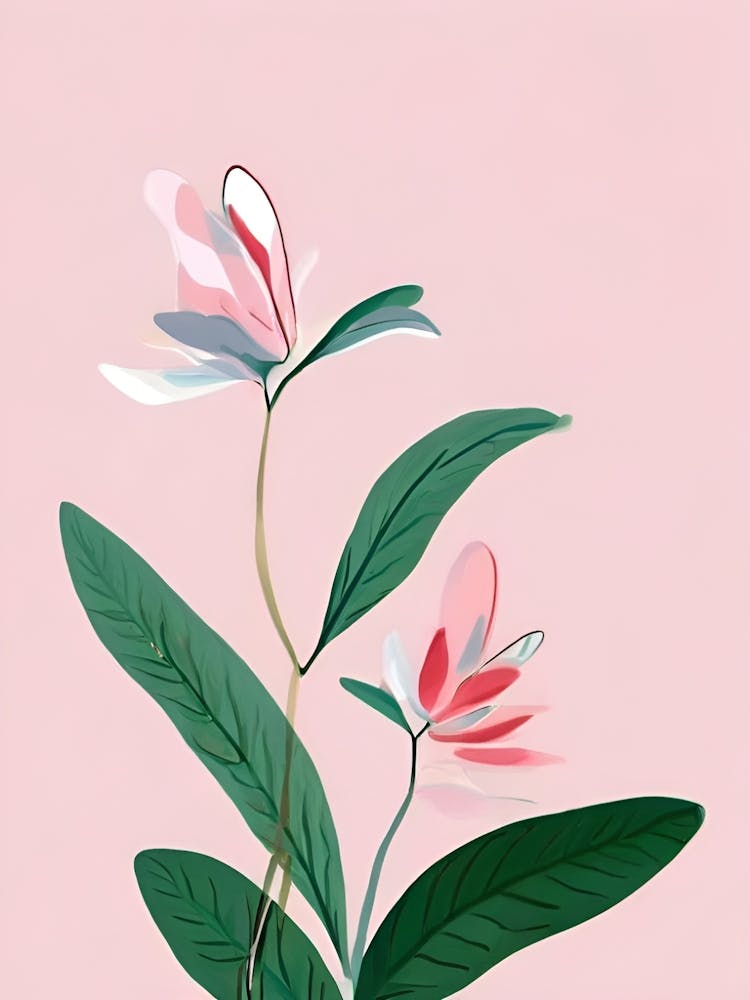 Pink Flowers On A Pink Background