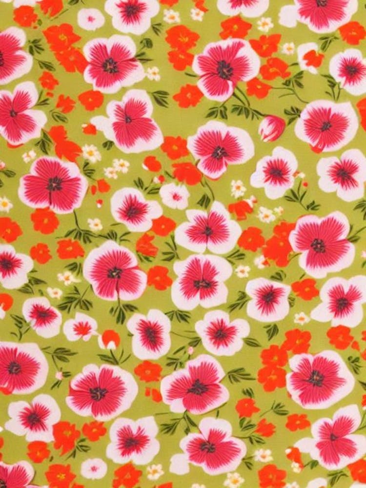 Pois de Senteur Impression Florale Tons Chauds 1 Fleur