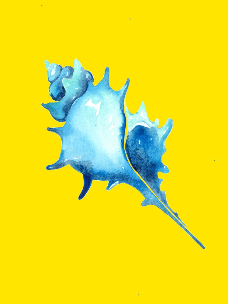 Blue Seashell On Yellow Background Art print