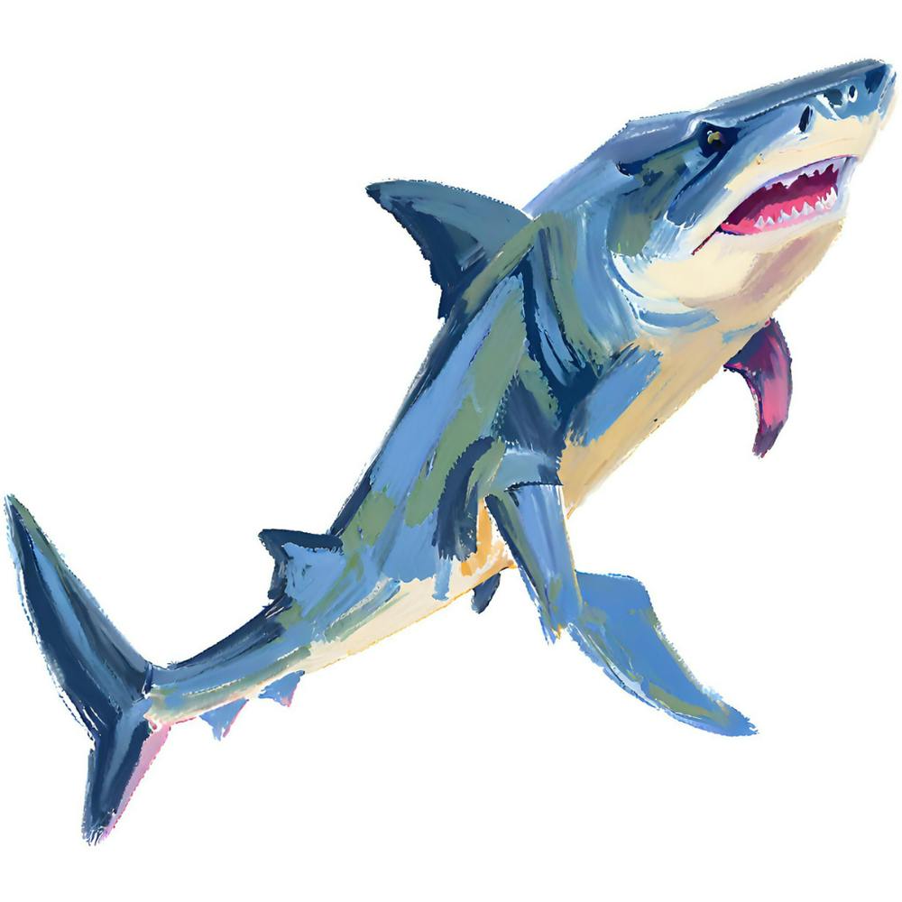 Hammerhead Shark 05