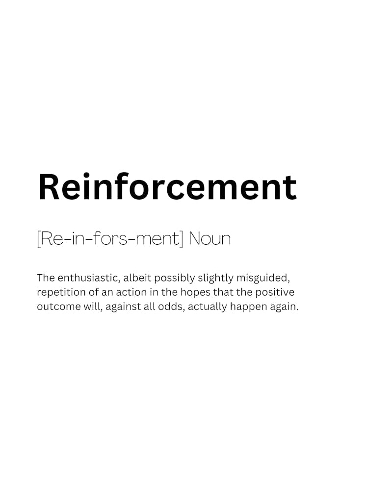Reinforcement Definition Meaning
