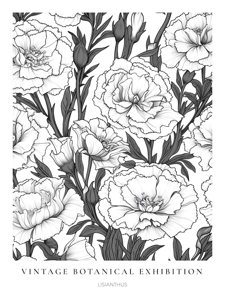 Lisianthus B&W Vintage Botanical Poster