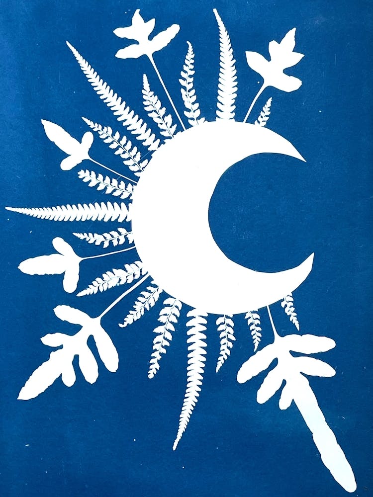 Moon And Ferns 1