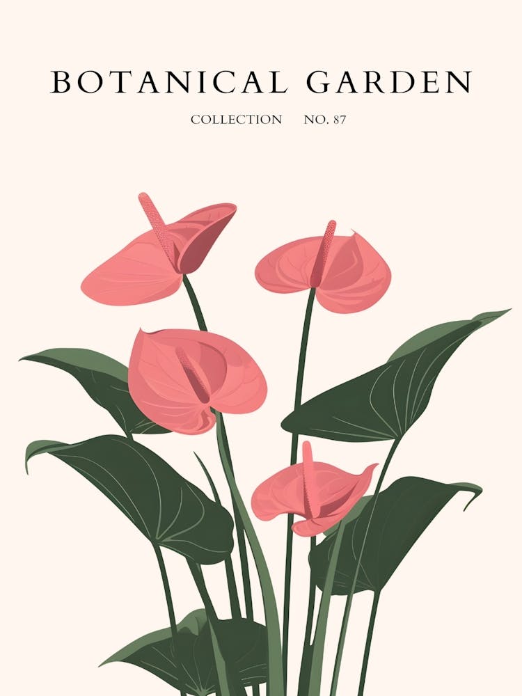 Botanical Garden 47
