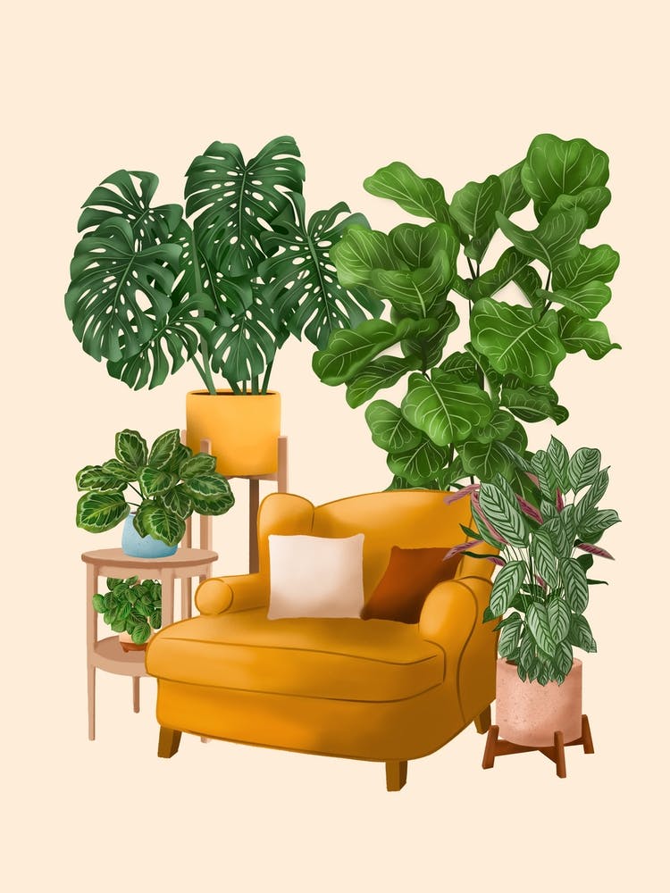 Cozy Plant Nook 1