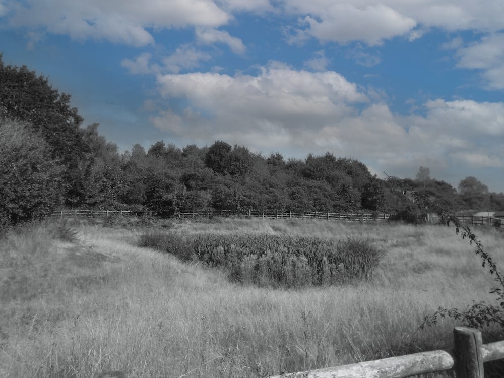 Ketley Field - Blue Sky