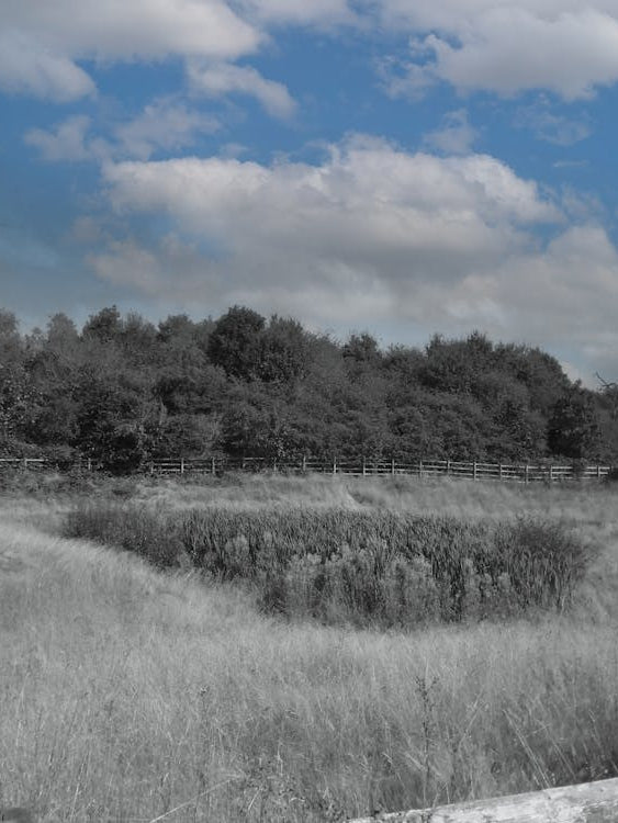 Ketley Field - Blue Sky